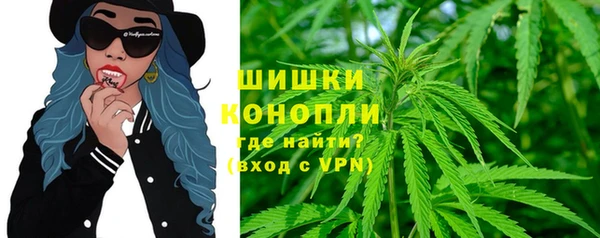 молекула духа Алзамай