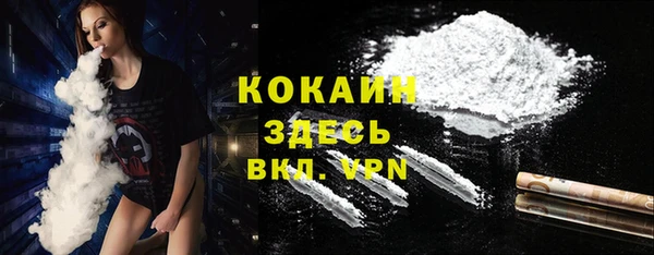 молекула духа Алзамай