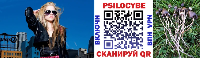 купить наркотики сайты  Кукмор  Галлюциногенные грибы прущие грибы 